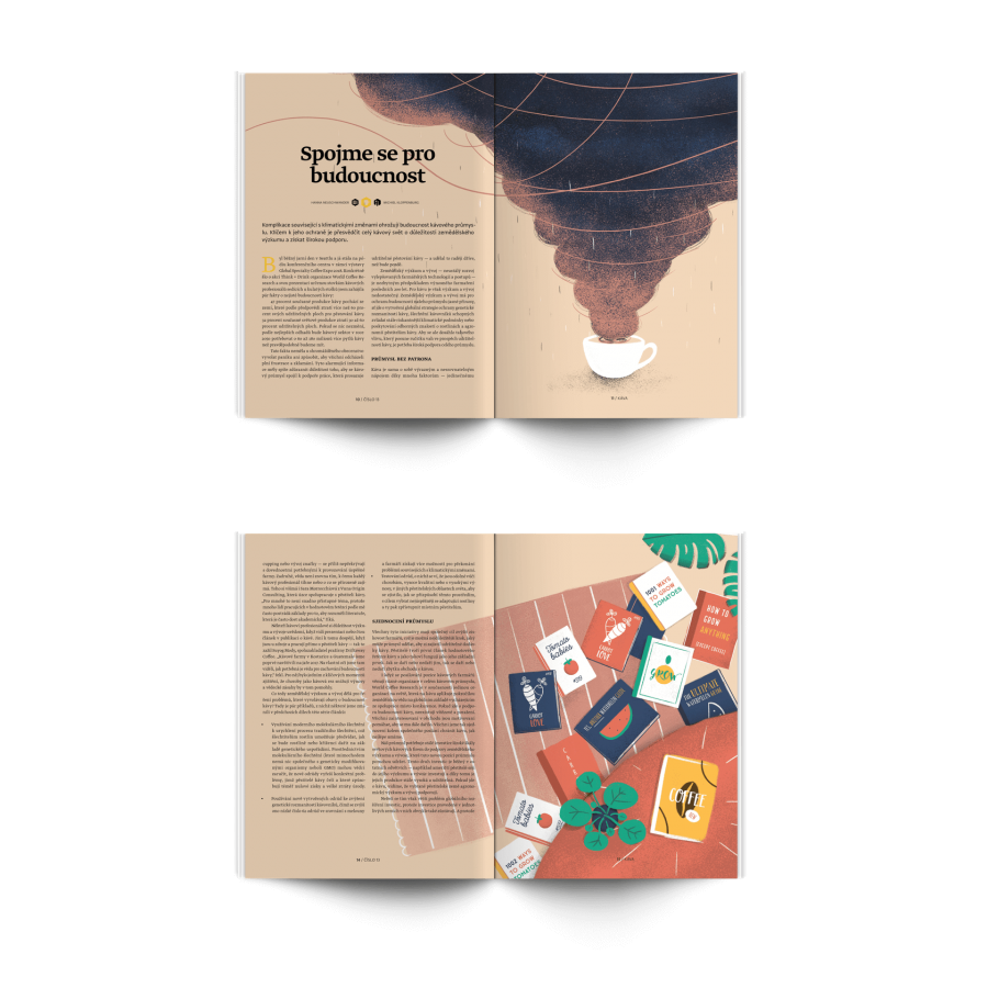 Standart magazine No. 13