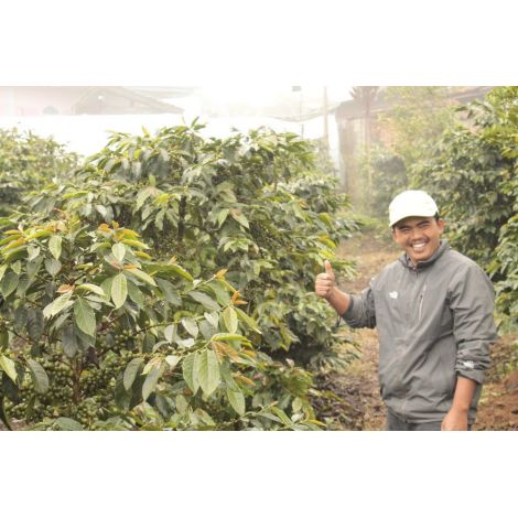 Nordbeans Indonesia Kerinci Gunung 200g