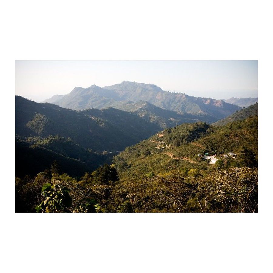 Guatemala Trés Maria, whole bean arabica coffee