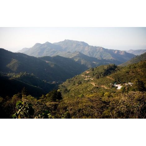 Guatemala Trés Maria, whole bean arabica coffee