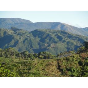 Kostarika: Tarrazu, zrnková káva arabica, STŘEDNĚ PRAŽENÁ 2