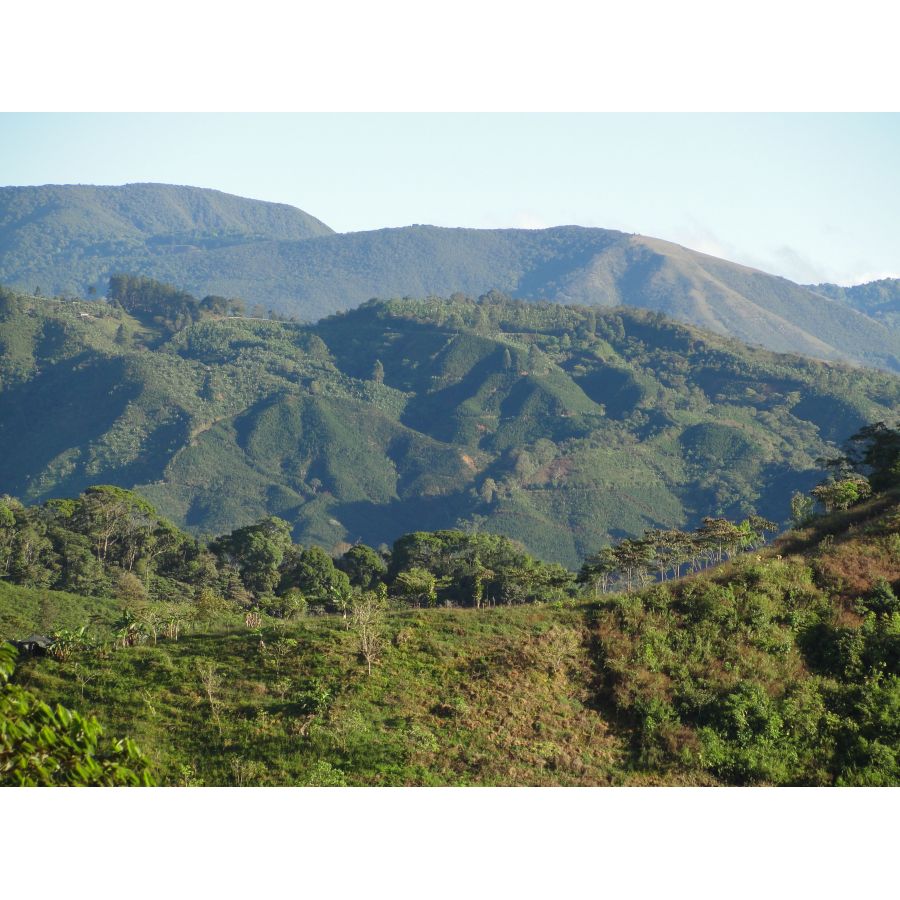 Kostarika: Tarrazu, zrnková káva arabica, STŘEDNĚ PRAŽENÁ