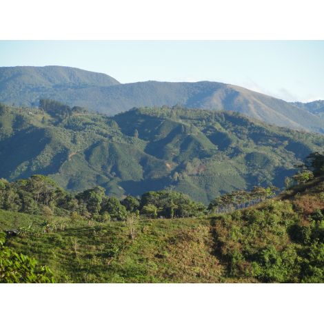 Kostarika: Tarrazu, zrnková káva arabica, STŘEDNĚ PRAŽENÁ
