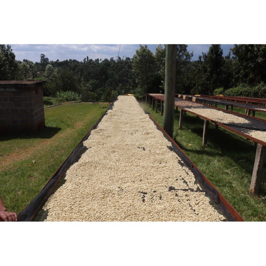 Fiftybeans Keňa Riakiberu, 200g