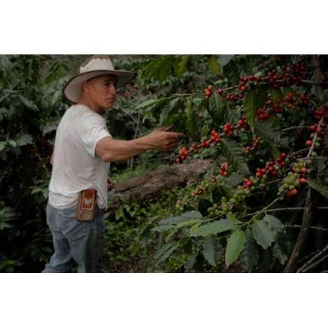GourmetKáva Specialty - Mexico SV Kitos 250g