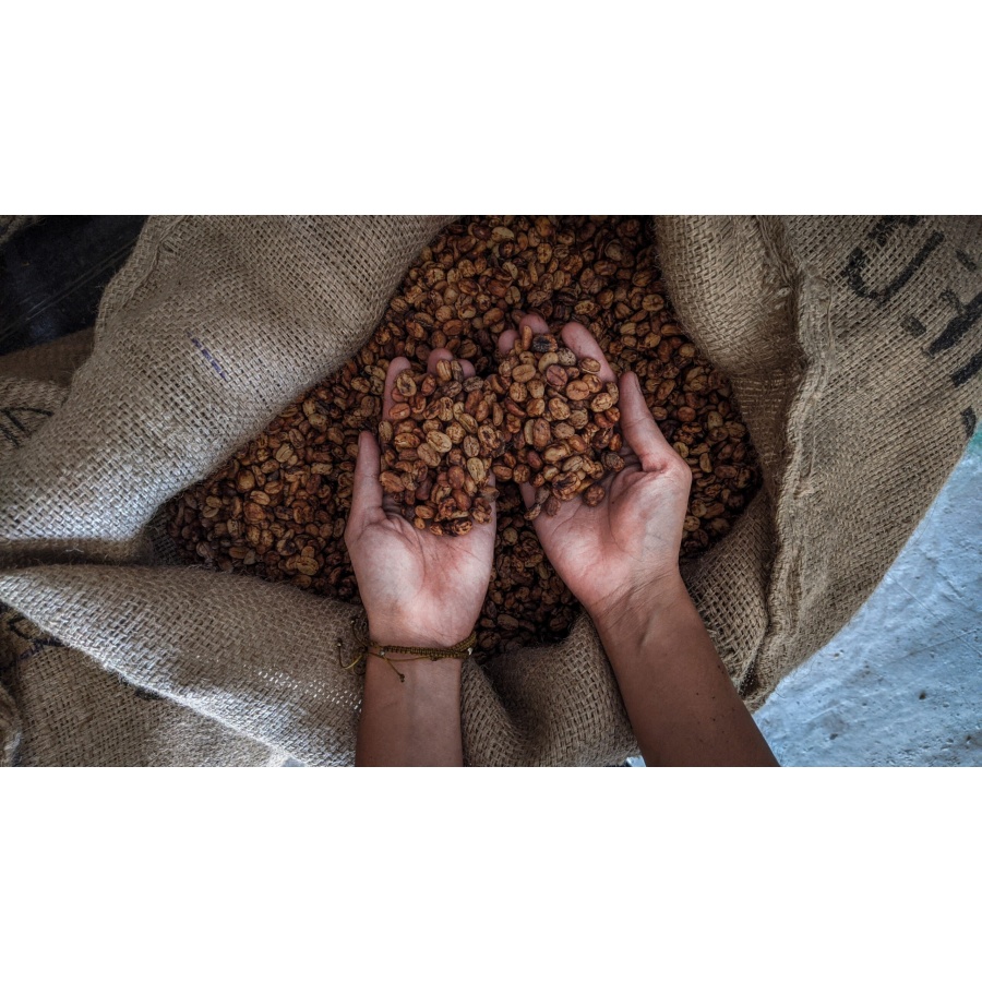 GourmetKava Specialty - Mexico SV Kitos 250g