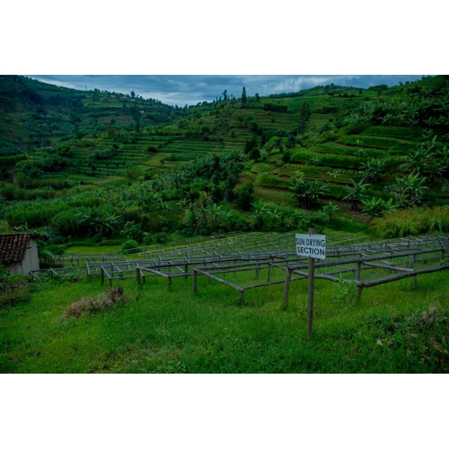 GourmetKava Specialty - Rwanda Ngororero 250g