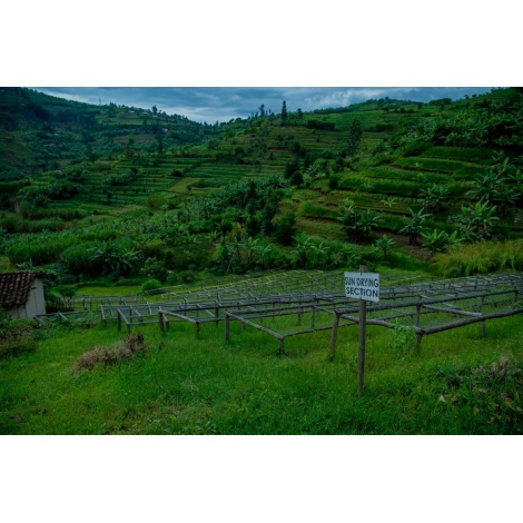 GourmetKava Specialty - Rwanda Ngororero 250g