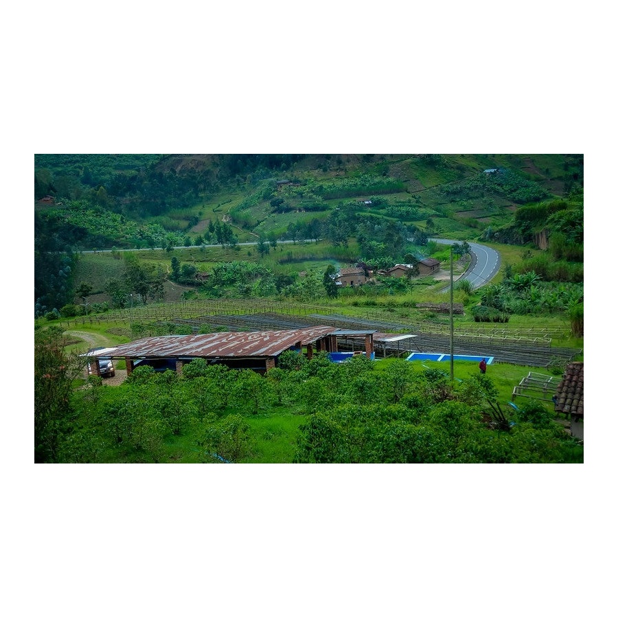 GourmetKava Specialty - Rwanda Ngororero 250g
