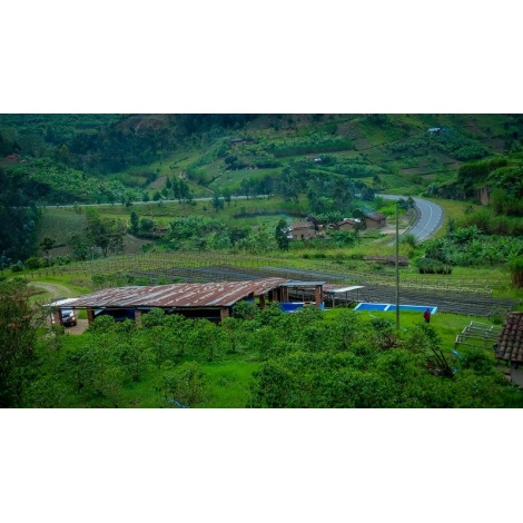 GourmetKava Specialty - Rwanda Ngororero 250g