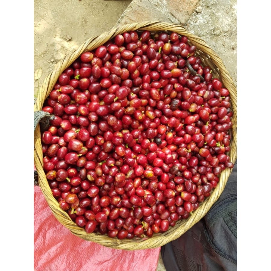 GourmetKáva Specialty - Salvador V. Hermosa Anaerobic 250g