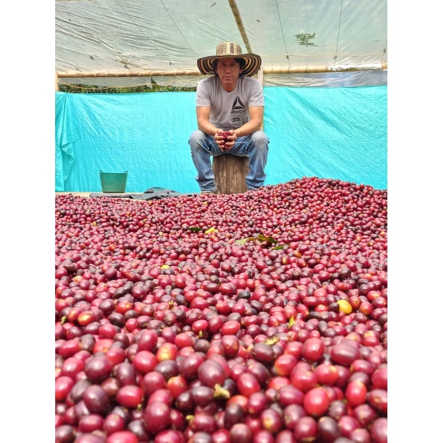 GourmetCoffee Specialty Colombia El Agrado Honey 250g