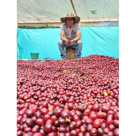 GourmetCoffee Specialty Colombia El Agrado Honey 250g