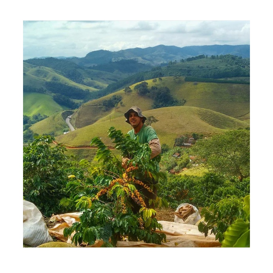 GourmetKava Specialty - Brasil Honorio 250g