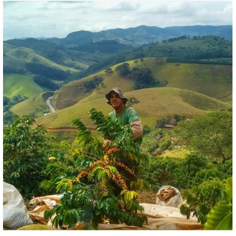 GourmetKava Specialty - Brasil Honorio 250g