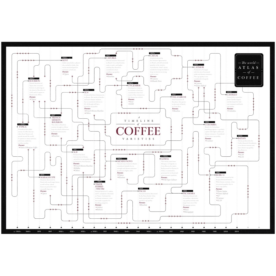 Kniha: The World Atlas of Coffee - James Hoffmann - 2nd Edition (EN)