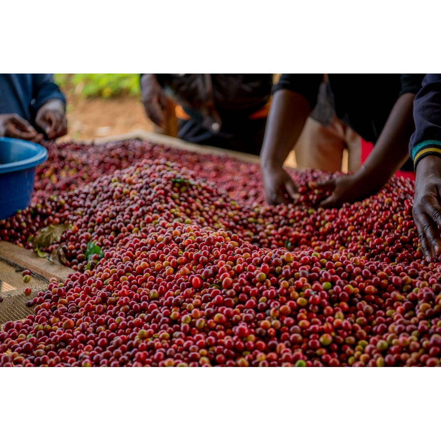 GourmetKáva Specialty Burundi Gakenke 250g