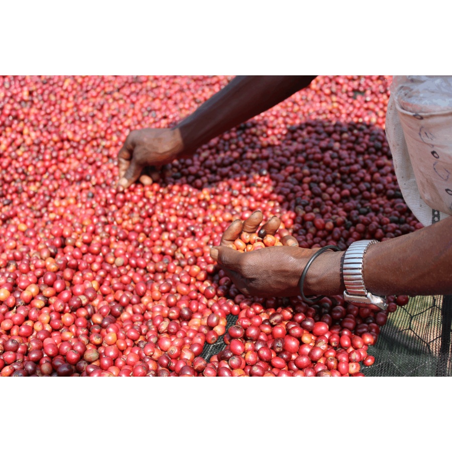GourmetKáva Specialty Burundi Gakenke 250g
