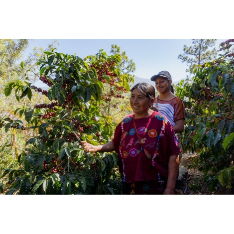 GourmetKáva Specialty Guatemala Comal 250g