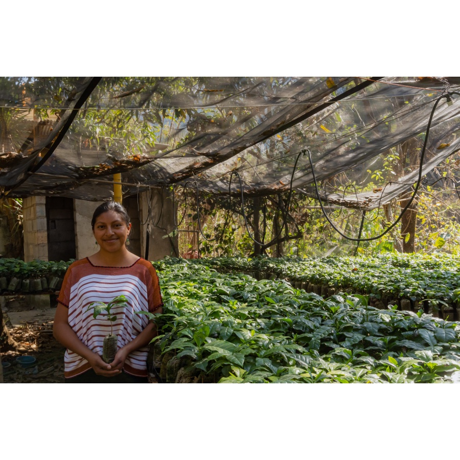 GourmetKáva Specialty Guatemala Huehuetenango ESP 250g