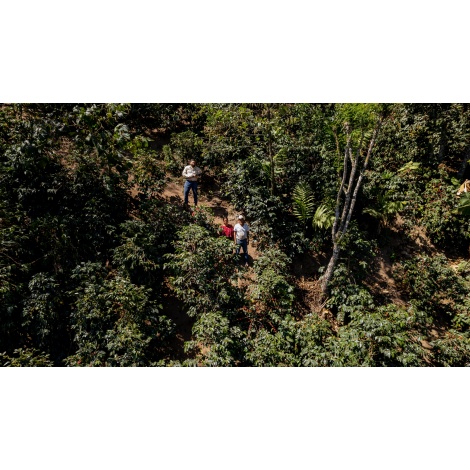 GourmetCoffee Specialty Guatemala Huehuetenango ESP 250g
