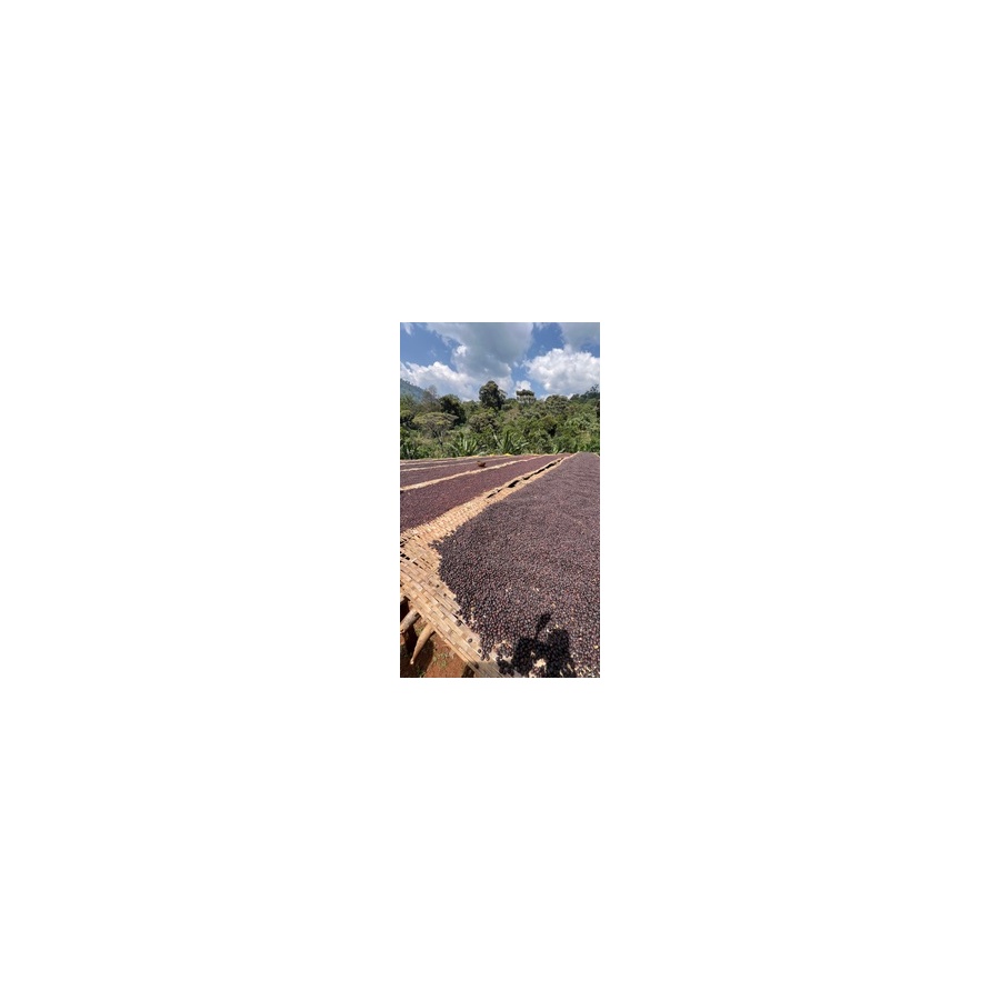 GourmetCoffee Specialty Ethiopia Uraga 250g