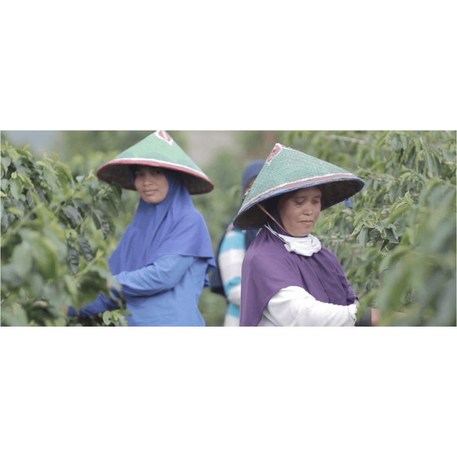 BeanSmith's Indonesia Koerintji Barokah AN-H 250g
