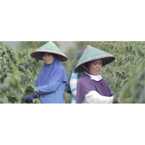 BeanSmith's Indonesia Koerintji Barokah AN-H 250g