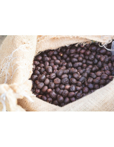 GourmetKáva Specialty Brazílie Freitas ESP 250g