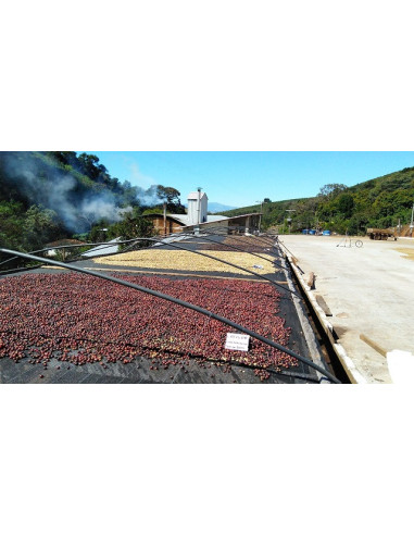 GourmetKáva Specialty Brazílie Freitas ESP 250g