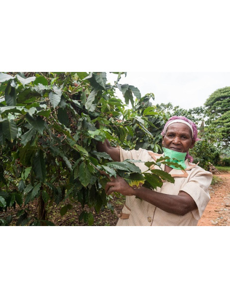 GourmetKáva Specialty - Kenya Nyeri 250g