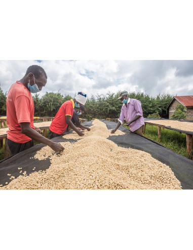 GourmetKáva Specialty - Kenya Nyeri 250g