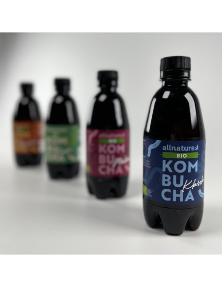 Allnature Kombucha Klasik BIO 330 ml
