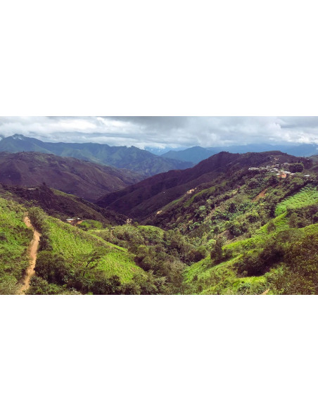 GourmetKava Specialty Peru Huabal 250g