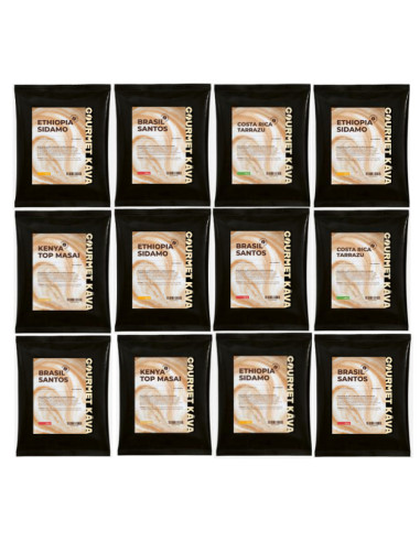 Subscription to Filter Coffee by GourmetKava - medium roast