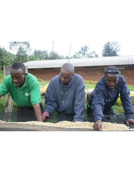 GourmetKava Specialty Burundi Yandaro 250g
