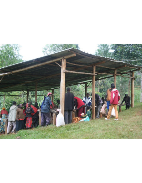 GourmetKava Specialty Burundi Yandaro 250g