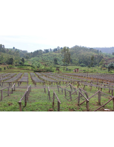 GourmetKava Specialty Burundi Yandaro 250g