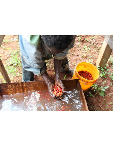 GourmetKava Specialty Burundi Yandaro 250g
