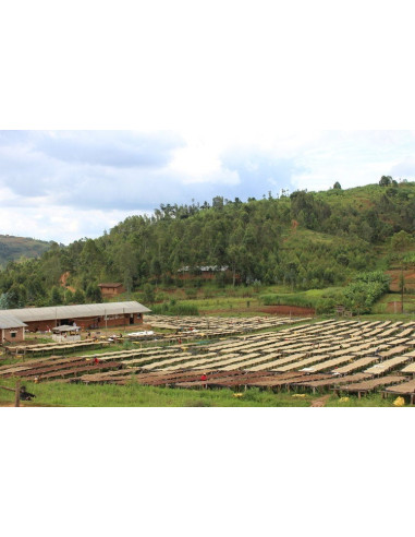 GourmetKava Specialty Burundi Yandaro 250g
