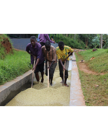GourmetKava Specialty Burundi Yandaro 250g