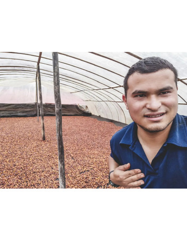 Francin Coffee: Colombia Finca La Providencia De Jeshua 250g