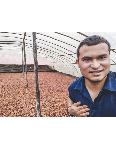 Francin Coffee: Colombia Finca La Providencia De Jeshua 250g