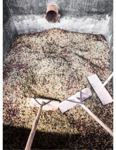 GourmetKáva Specialty - Kenya Kiri ESP 250g