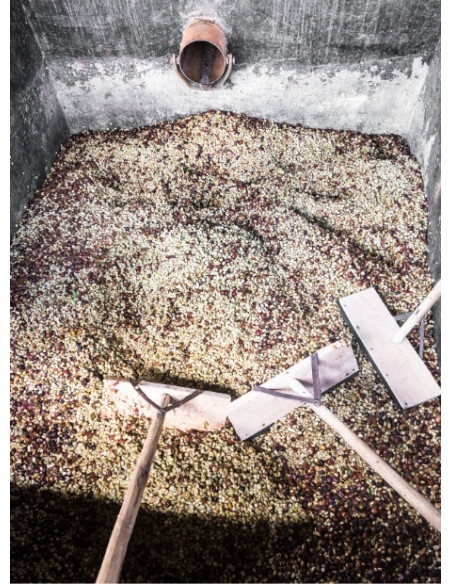 GourmetKáva Specialty - Kenya Kiri ESP 250g