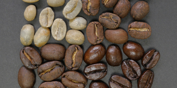 Srovnání káva Arabica vs. káva Robusta