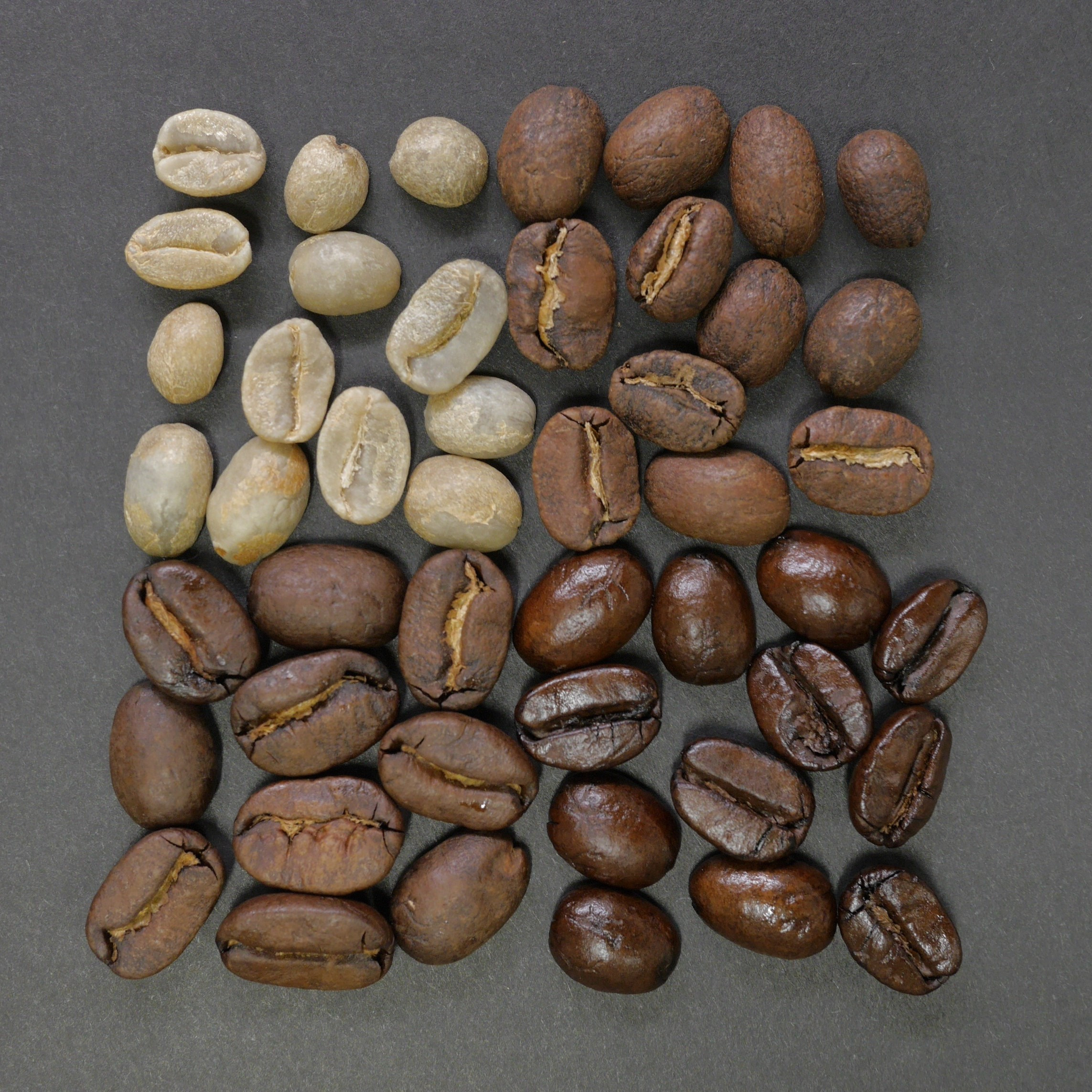 Srovnání káva Arabica vs. káva Robusta
